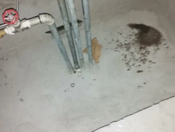 宁晋卫生间测漏水价格明细